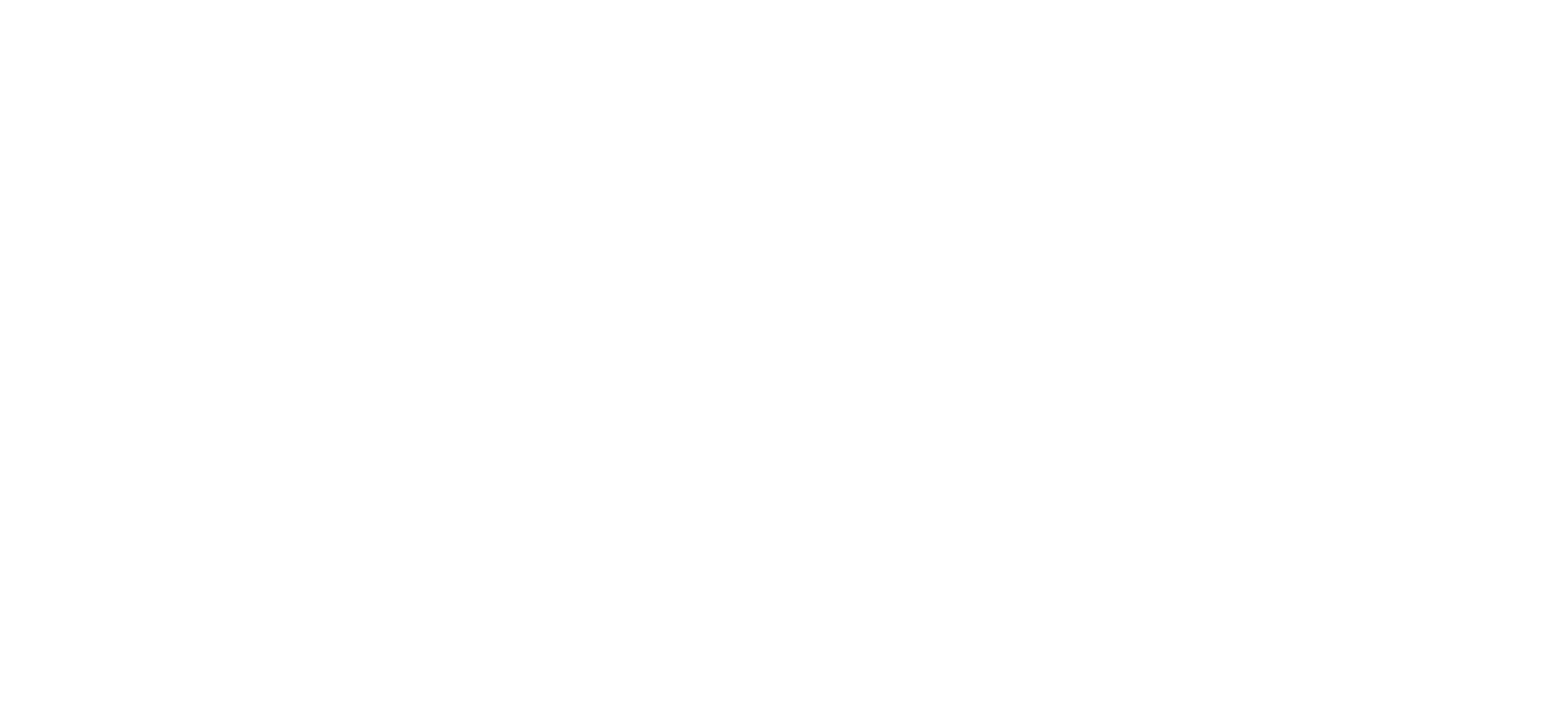 Logo_itenerario veloz_branco